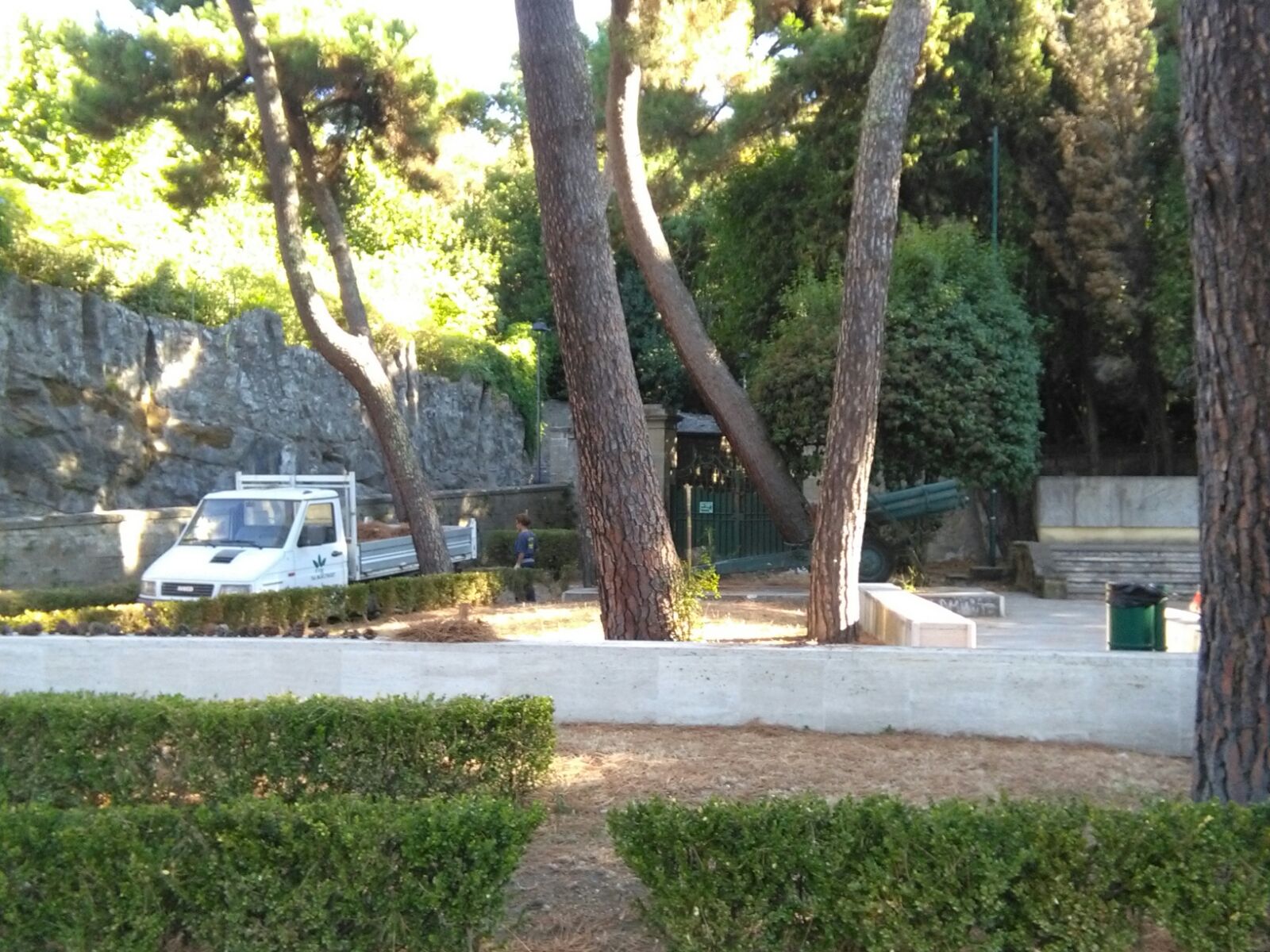 Operatore della Manutenzione del Verde in opera ad Ariccia(ponte)