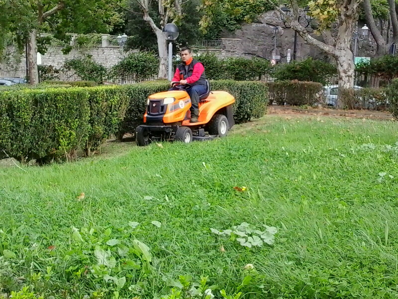 Operatore della Manutenzione del Verde in opera ad Ariccia(ponte)