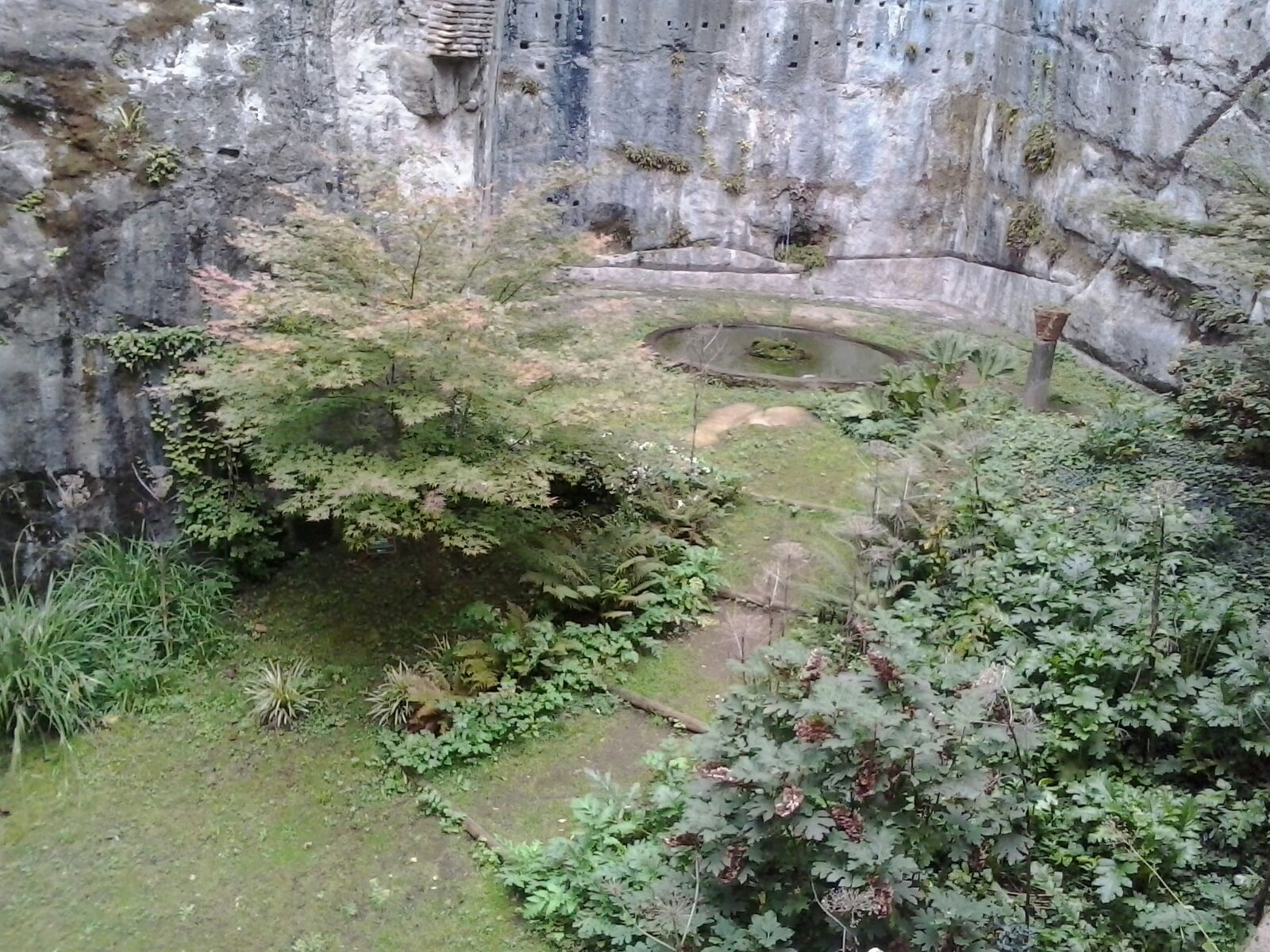 Manutenzione dell'uccelliera di Parco Chigi Ariccia