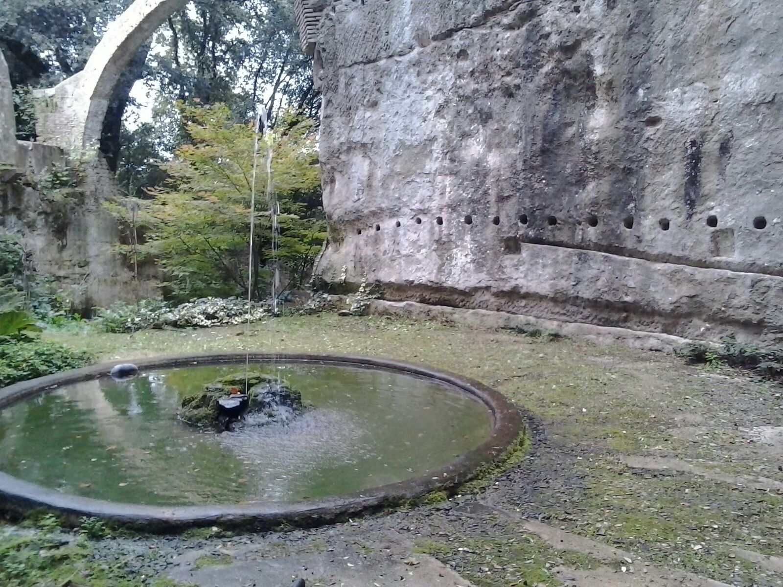 Manutenzione dell'uccelliera di Parco Chigi Ariccia
