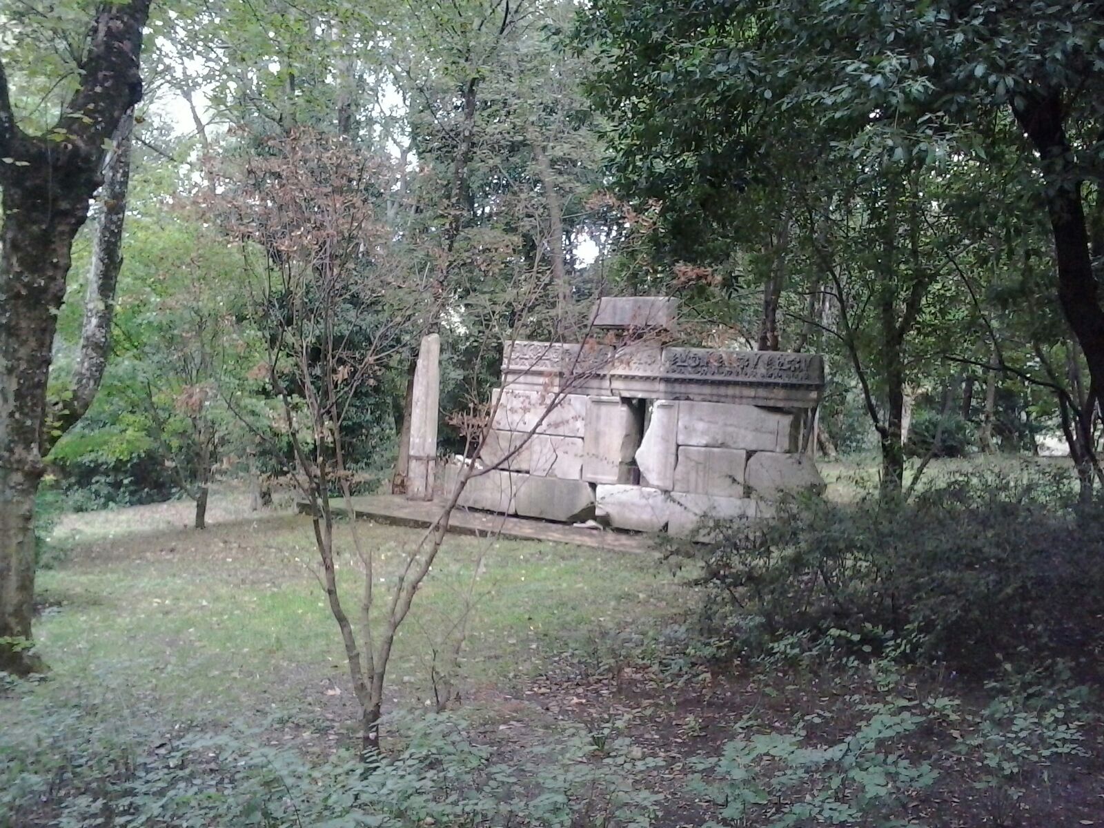 Manutenzione del Verde Parco Chigi Ariccia