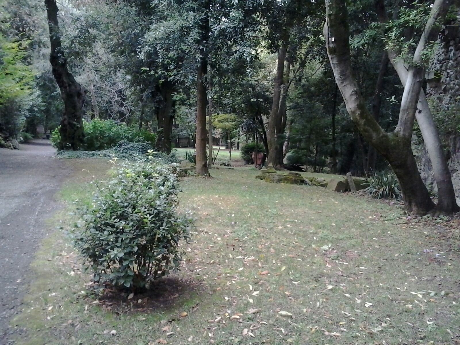 Manutenzione del Verde Parco Chigi Ariccia