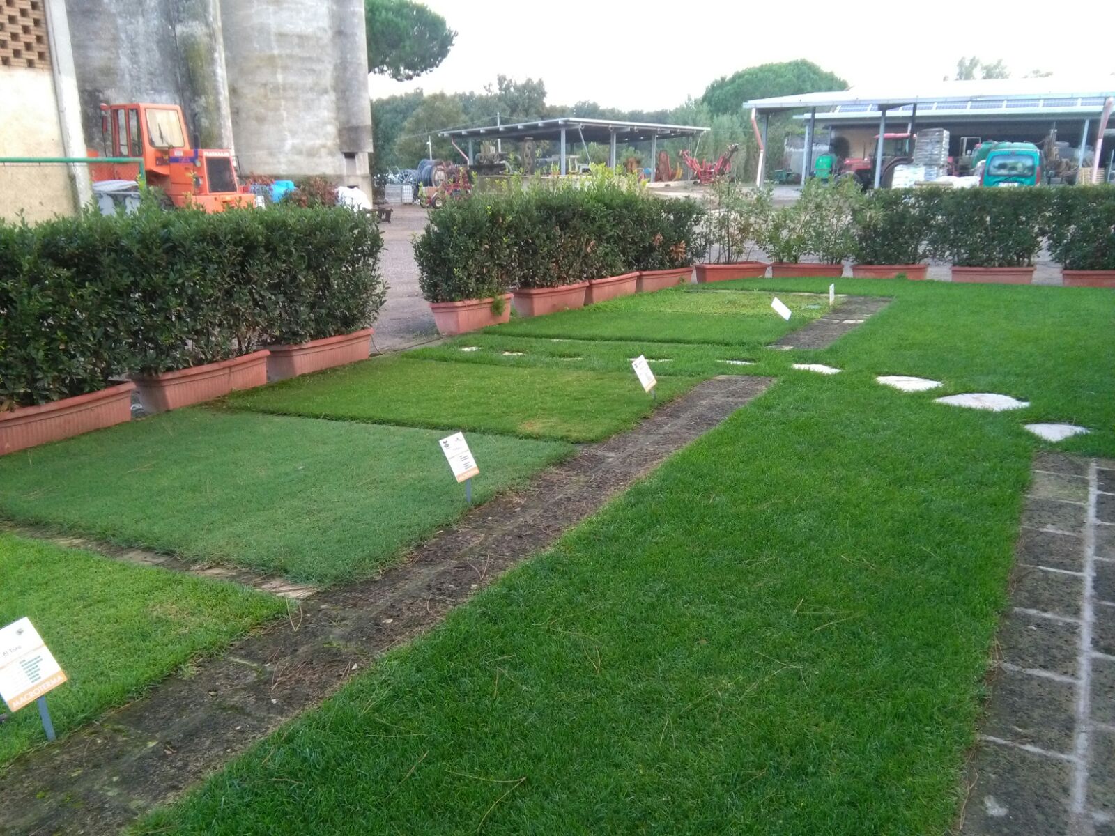 Scelta del prato